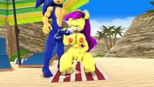 Sonic And Mina's Kinky Summer Fun, 日本語