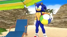 Sonic And Mina's Kinky Summer Fun, 日本語