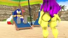 Sonic And Mina's Kinky Summer Fun, 日本語