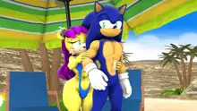 Sonic And Mina's Kinky Summer Fun, 日本語