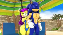 Sonic And Mina's Kinky Summer Fun, 日本語