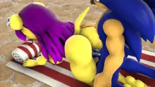 Sonic And Mina's Naughty Hot Spring Fun, 日本語