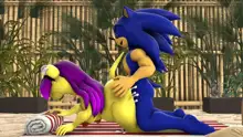 Sonic And Mina's Naughty Hot Spring Fun, 日本語