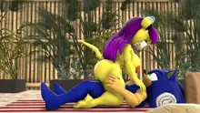 Sonic And Mina's Naughty Hot Spring Fun, 日本語