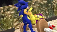 Sonic And Mina's Naughty Hot Spring Fun, 日本語