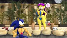 Sonic And Mina's Naughty Hot Spring Fun, 日本語