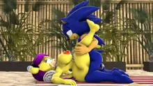 Sonic And Mina's Naughty Hot Spring Fun, 日本語