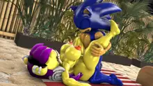 Sonic And Mina's Naughty Hot Spring Fun, 日本語