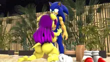 Sonic And Mina's Naughty Hot Spring Fun, 日本語