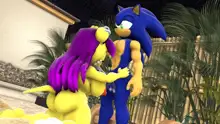 Sonic And Mina's Naughty Hot Spring Fun, 日本語