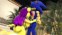 Sonic And Mina's Naughty Hot Spring Fun, 日本語