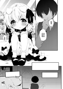 Inumimi Musume Choukyou Monogatari 3, 中文