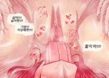 Lux X Katarina, 한국어