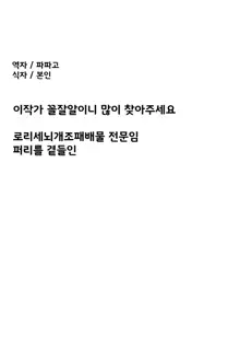 세뇌즉각타락 래빗룰러, 한국어