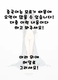 H Game 개발부 - 아리스편, 한국어