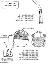 敗北者には重い罰を!, 日本語