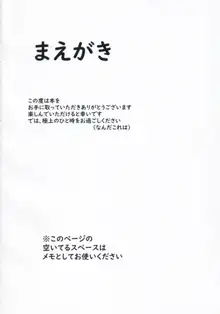 ドラメイドの裏日常, 日本語