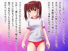 お兄ちゃんなんて、ダイキライ！, 日本語