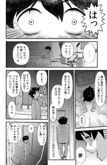 ソド村の天晴れな面々, 日本語