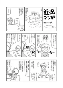 東方淫羊霍, 日本語