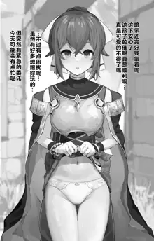 Fire Emblem Echoes Delthea Brainwashing Situation, 中文