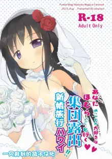 Anata no Koto ga Daisuki na Homura-chan to Iku Shuudan Roshutsu Shinkon Ryokou Hawaii!!, 中文