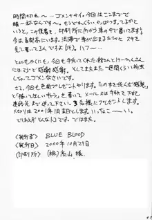 BLUE BLOOD'S Vol.6, 日本語