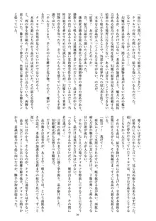 聖晶希石エスフェール, 日本語