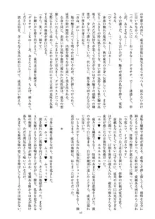 聖晶希石エスフェール, 日本語