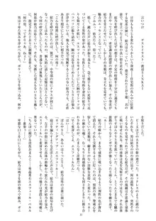 聖晶希石エスフェール, 日本語