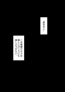 『もしも・・・』～陽菜子？の裏垢～, 日本語