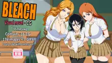 Bleach Visual Novel, English