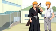 Bleach Visual Novel, English