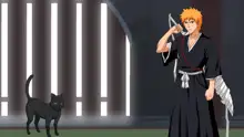 Bleach Visual Novel, English