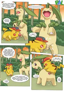 Pokemon Ashchu Adventure, English