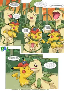 Pokemon Ashchu Adventure, English