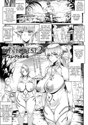 Elf's Forest 2, English