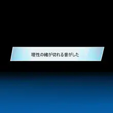 ''もっと''わるいこヒフミ, 日本語