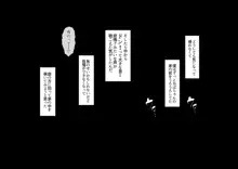 僕とおばちゃんの思い出は・・・, 日本語