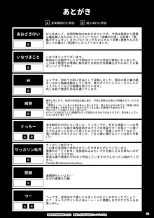 悪堕合同誌『悪堕ファンブック2B』, 日本語