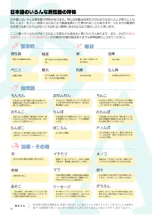 ふたなり、ってナニ？, 日本語