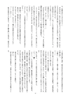 聖晶希石エスフェール Noyaux insérés, 日本語