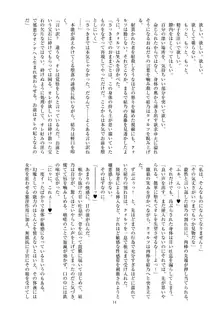 聖晶希石エスフェール Noyaux insérés, 日本語