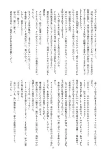 聖晶希石エスフェール Noyaux insérés, 日本語