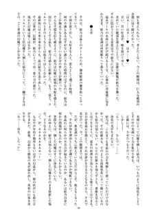 聖晶希石エスフェール Noyaux insérés, 日本語