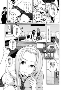 NTR 眠り姫 vol.2, 日本語