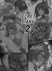 SECRET DIARY 2, 中文