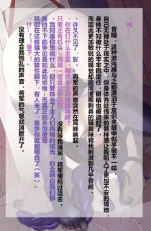 雷電将軍便器（差分+无字）, 中文