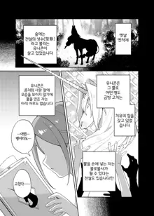 Shoujo wa Unicorn no Tsuno ga Hoshii | 소녀는 유니콘의, 한국어