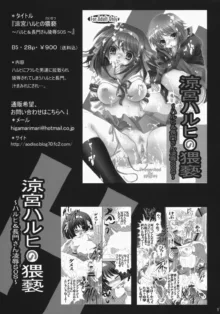 涼宮ハルヒの猥褻2～メイドみくる＆スク水長門調教SOS～, 日本語